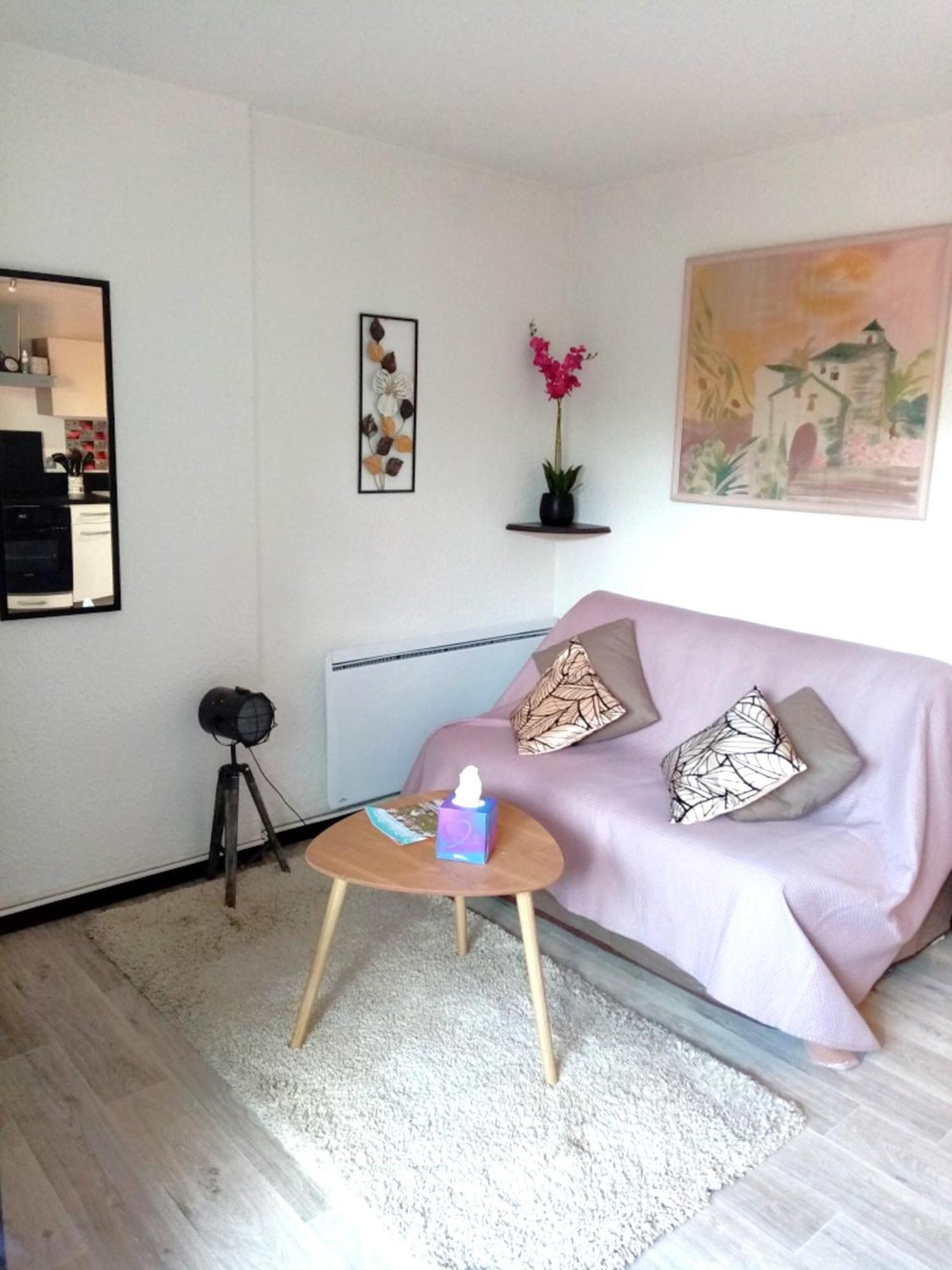 Cabourg Agreable T2 Residence Calme - Terrasse 20M2 - Animaux Bienvenus エクステリア 写真